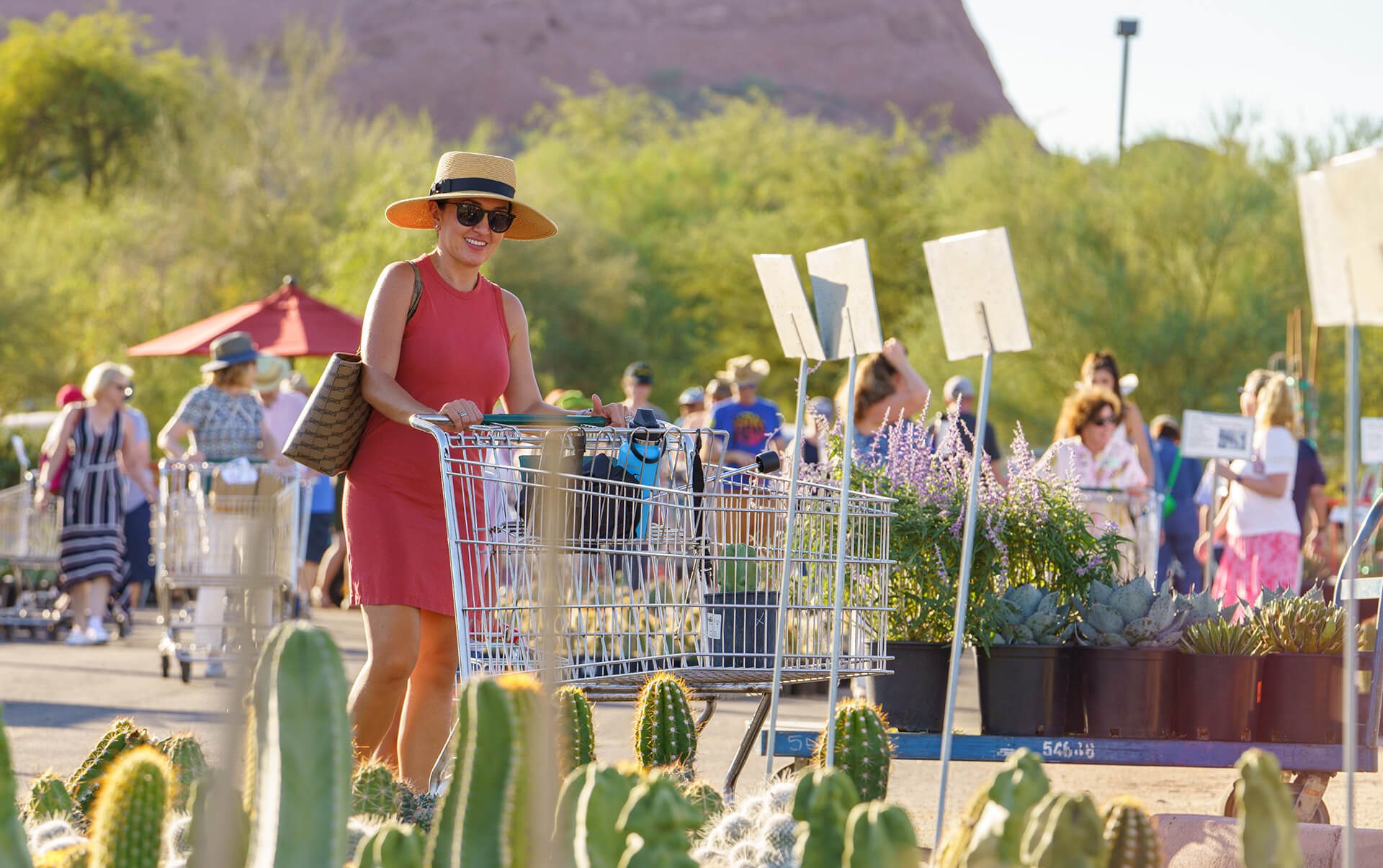 50th Anniversary Plant Sale at DBG