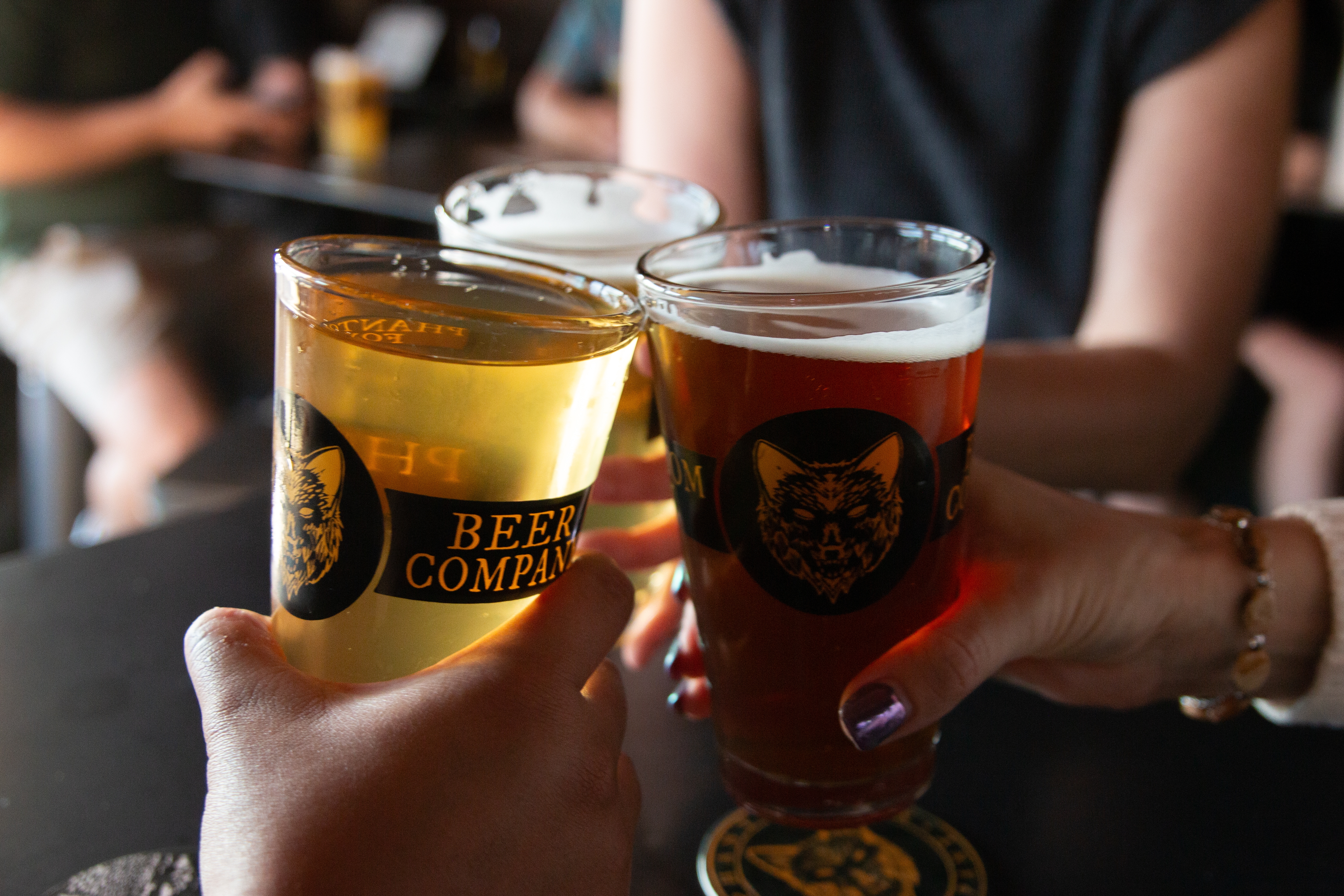 People raise glasses of golden and dark beer at Phantom Fox Beer Co.