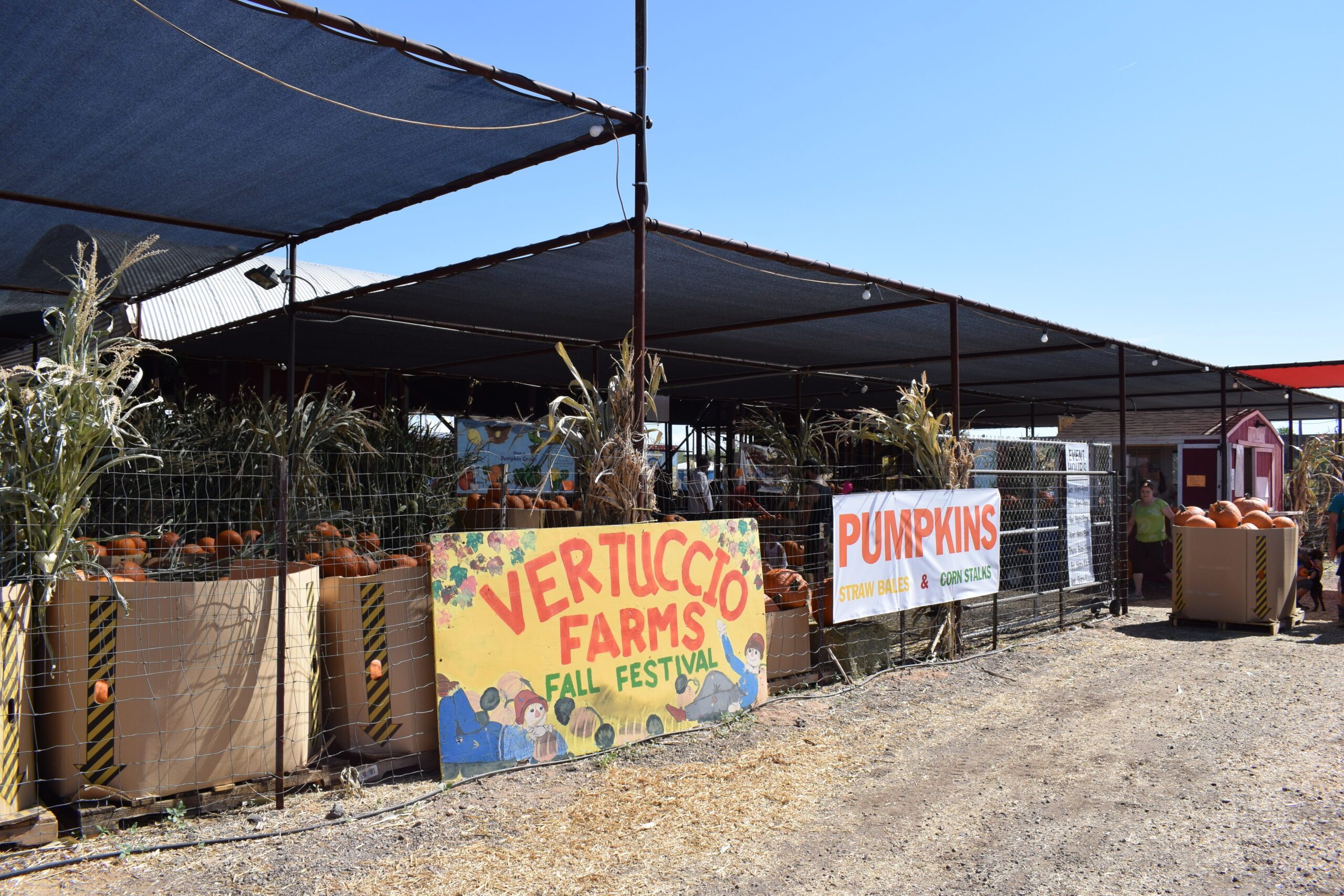 Fall Festival and pumpkin signs at the entrance to Vertuccio Farms.